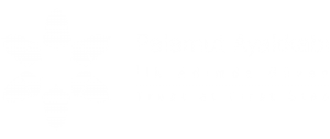 Palamut Ayakkabı Yatay